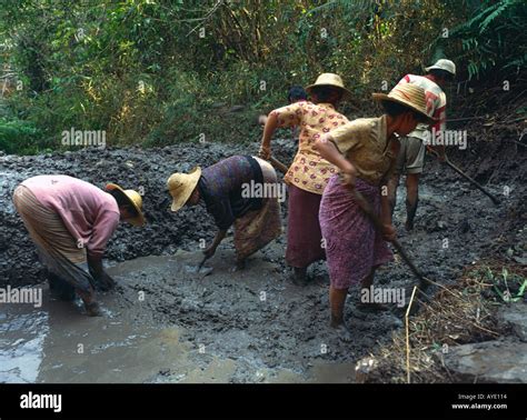 cleaning mud Myanmar|As the .